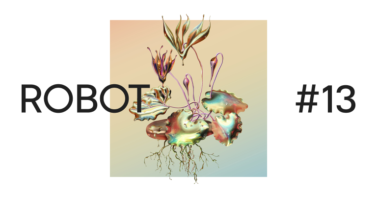 copertina di ROBOT13