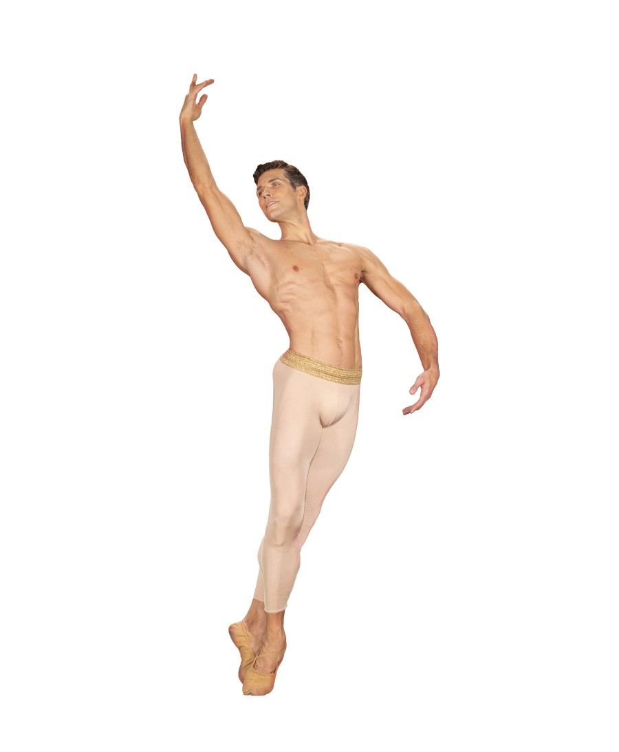 cover of Roberto Bolle and Friends