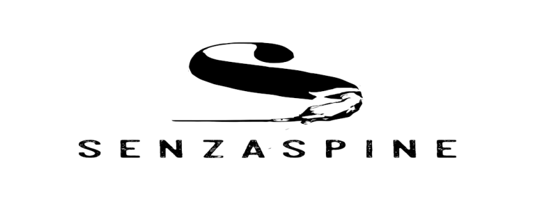 image of Orchestra Senzaspine / Scuola di Musica Senzaspine