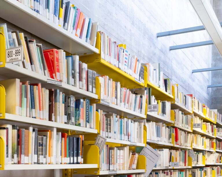 Biblioteca Corticella scaffale, particolare