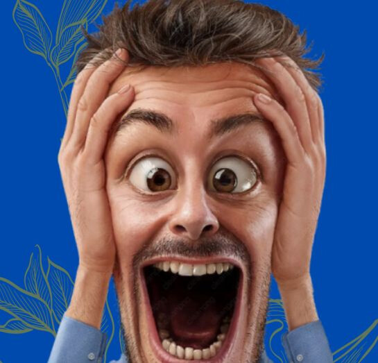 copertina di An i ciap mai!