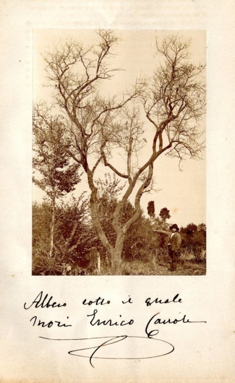 Villa Glori, foto su carta all'albumina