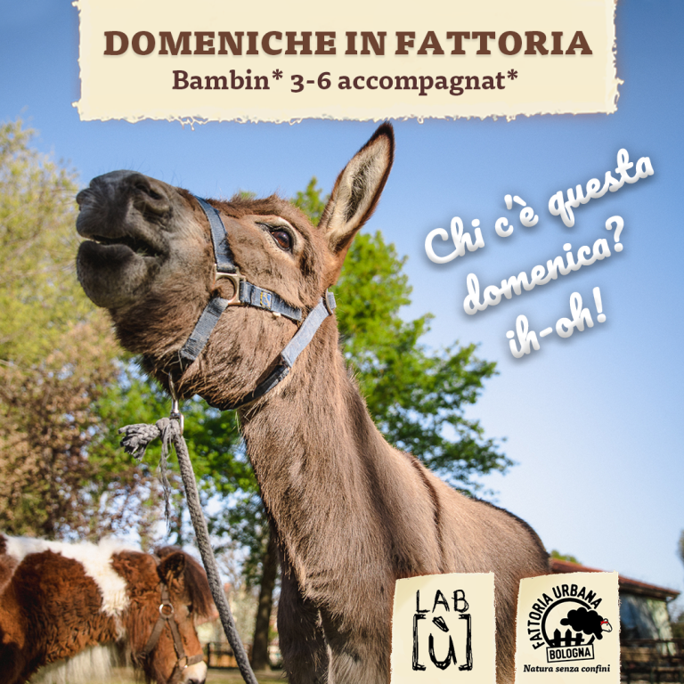 immagine di Domeniche in Fattoria
