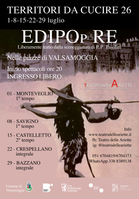 copertina di Territori da cucire 