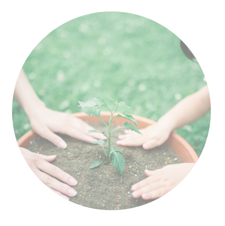 copertina di Dove il cambiamento cresce