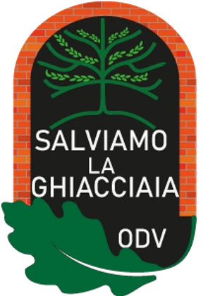 copertina di Salviamo la ghiacciaia