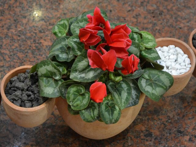 "Bologna Rebirth 2021. Terzo Paradiso"