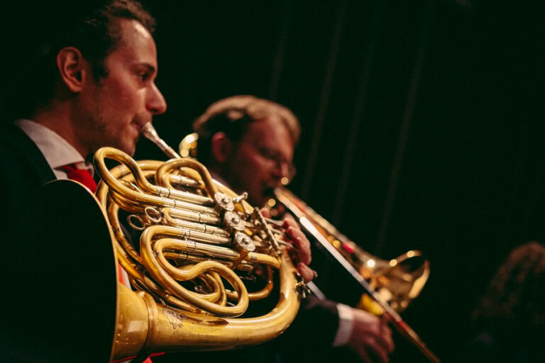 immagine di Senzaspine Brass Quintet