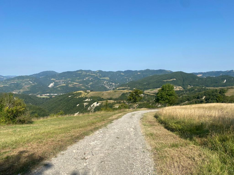 copertina di Appennino in vetrina