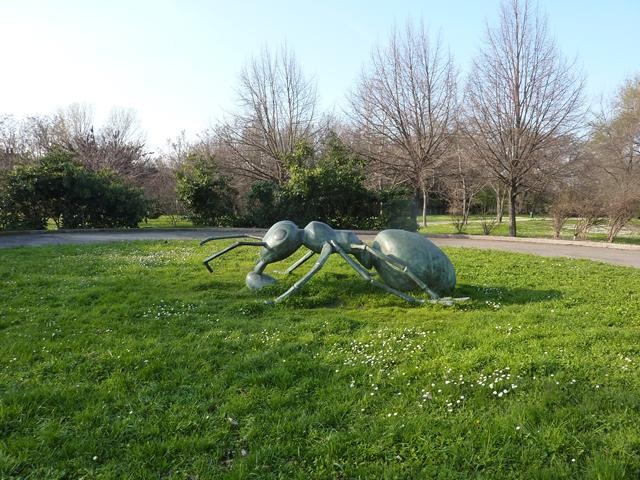 La formica gigante