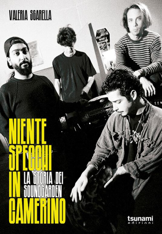 cover of NIENTE SPECCHI IN CAMERINO. La storia dei Soundgarden