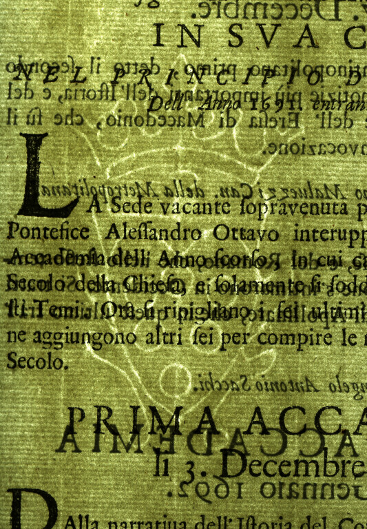image of ID. 119 stemma Medici, P all’interno