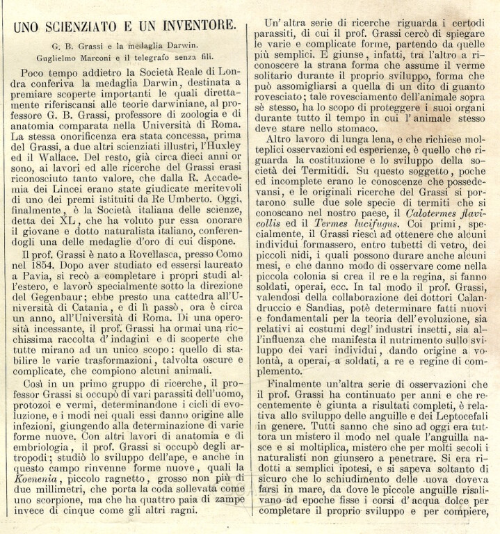 Illustrazione italiana