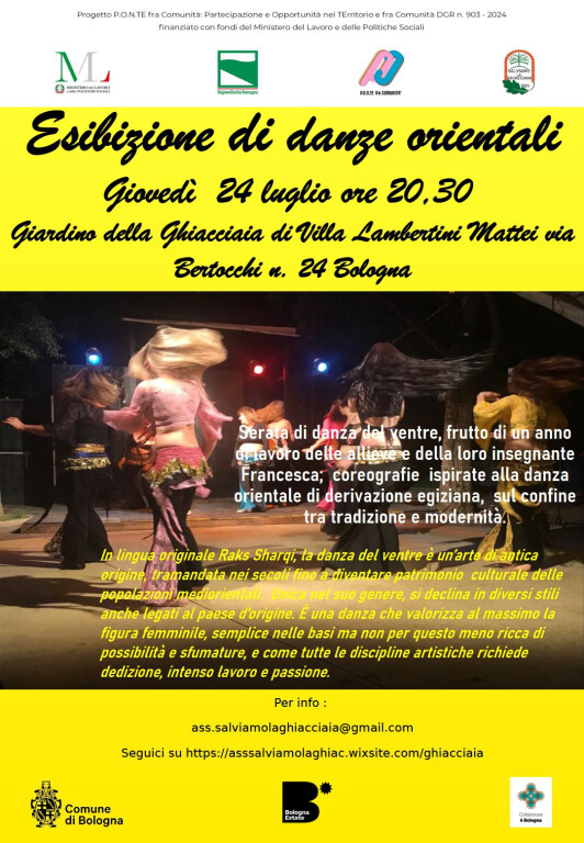 immagine di Esibizione di danze orientali