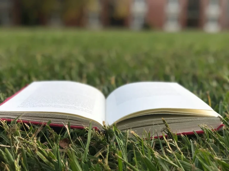 immagine di Letture animate al parco