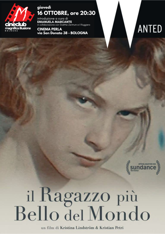 copertina di Magnifica Illusione