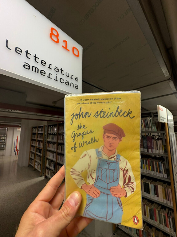 cover of Era meglio il libro? Furore