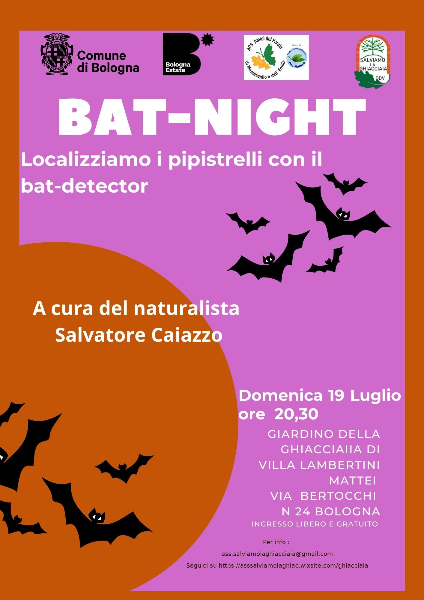 Bat-night. Localizziamo i pipistrelli con il bat-detector