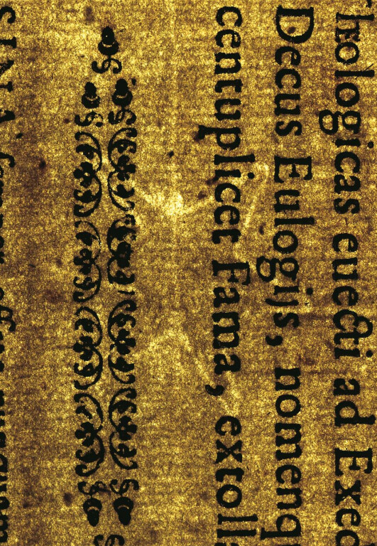 image of ID. 5 stella a sei punte