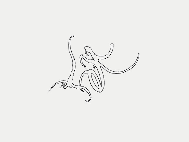 immagine di LENTE FANTASMA