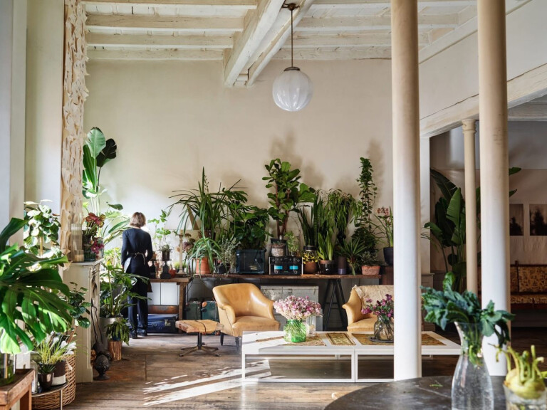 copertina di Ecodesign: crea il tuo spazio green con fiori e piante