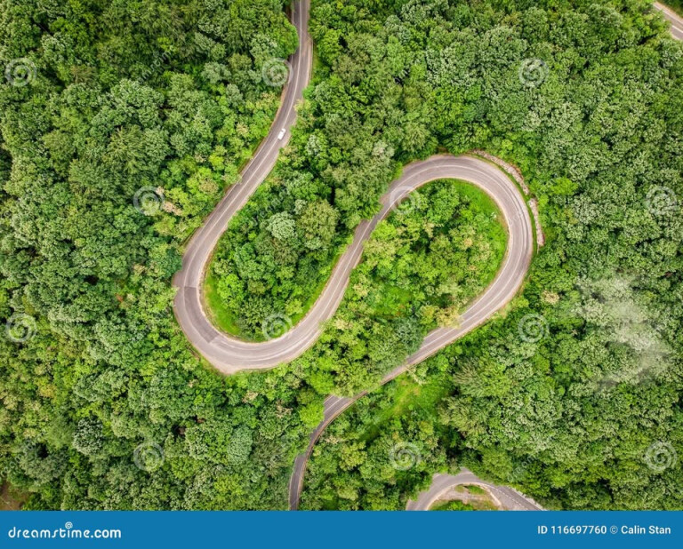 image de Fine della biologia