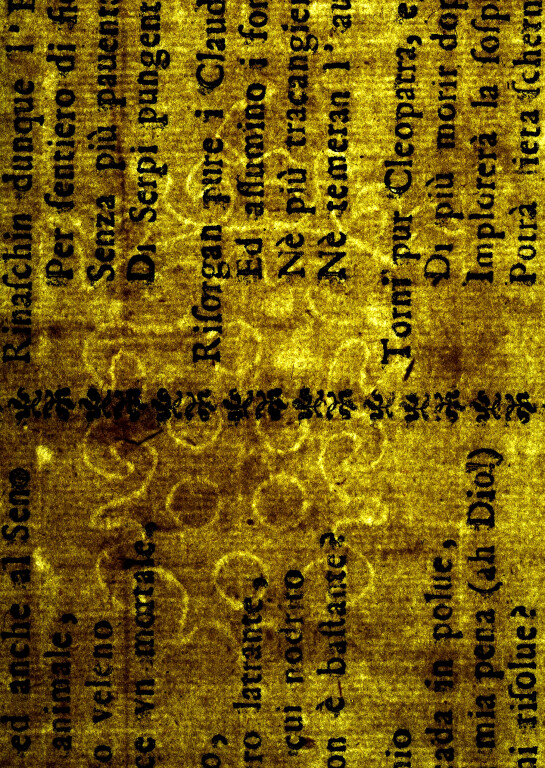 image of ID. 72 stemma Medici