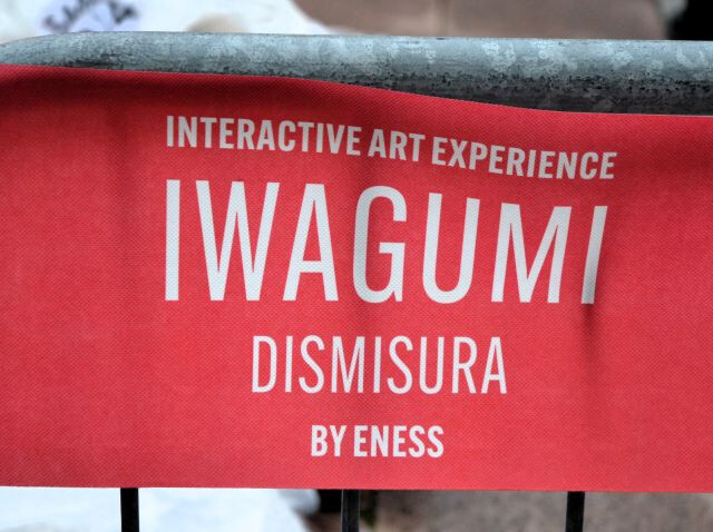 Iwagumi Dismisura