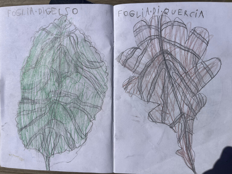 image de Disegno d'autunno