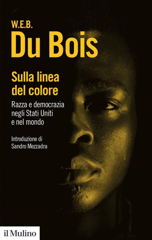 copertina di Sulla linea del colore: razza e democrazia negli Stati Uniti e nel mondo