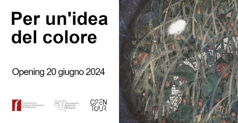 cover of Per un’idea del colore