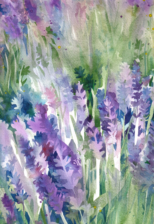 copertina di Giardino Segreto