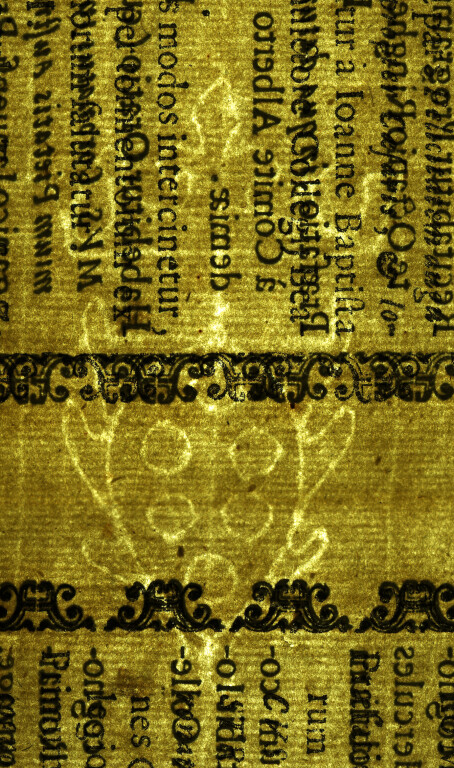 image of ID. 93 stemma Medici