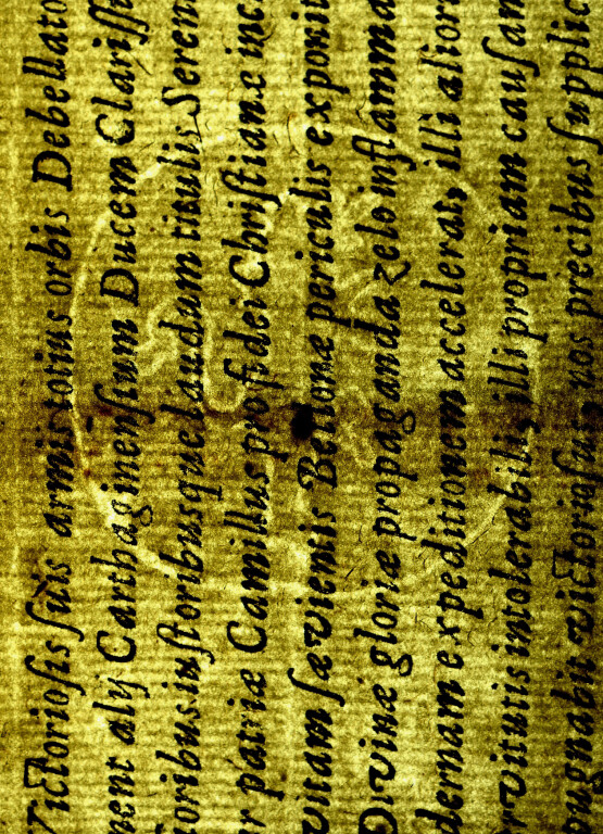 image of ID. 208 leone rampante cerchiato