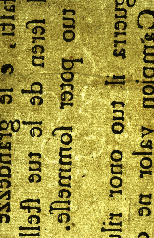 image of ID. 76 giglio