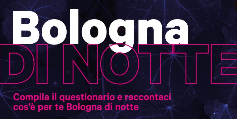 cover of Bologna di notte