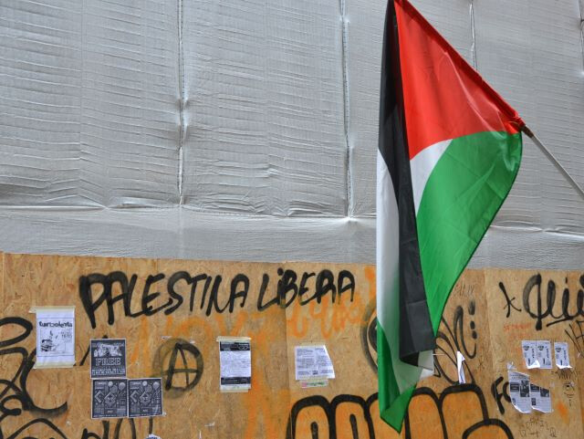 Scritte pro Palestina in zona universitaria