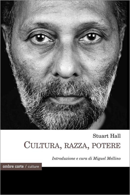 copertina di Cultura, razza, potere