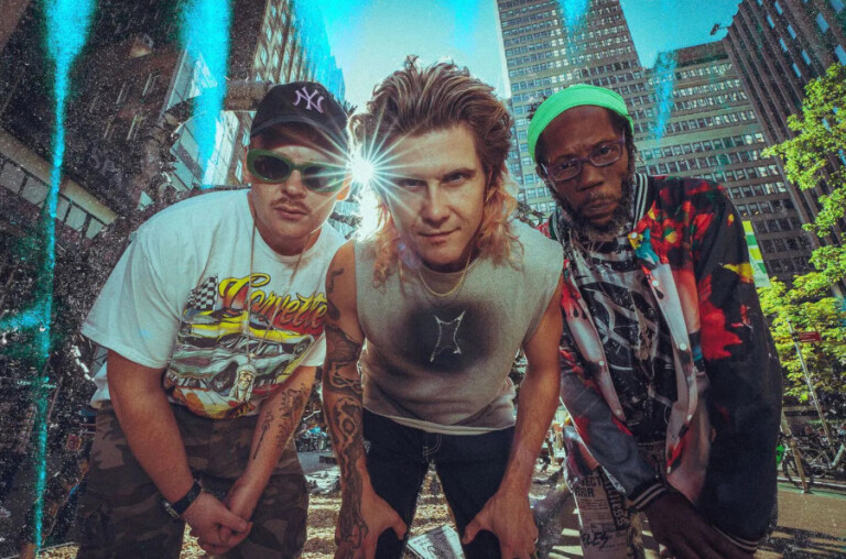 copertina di Too Many Zooz