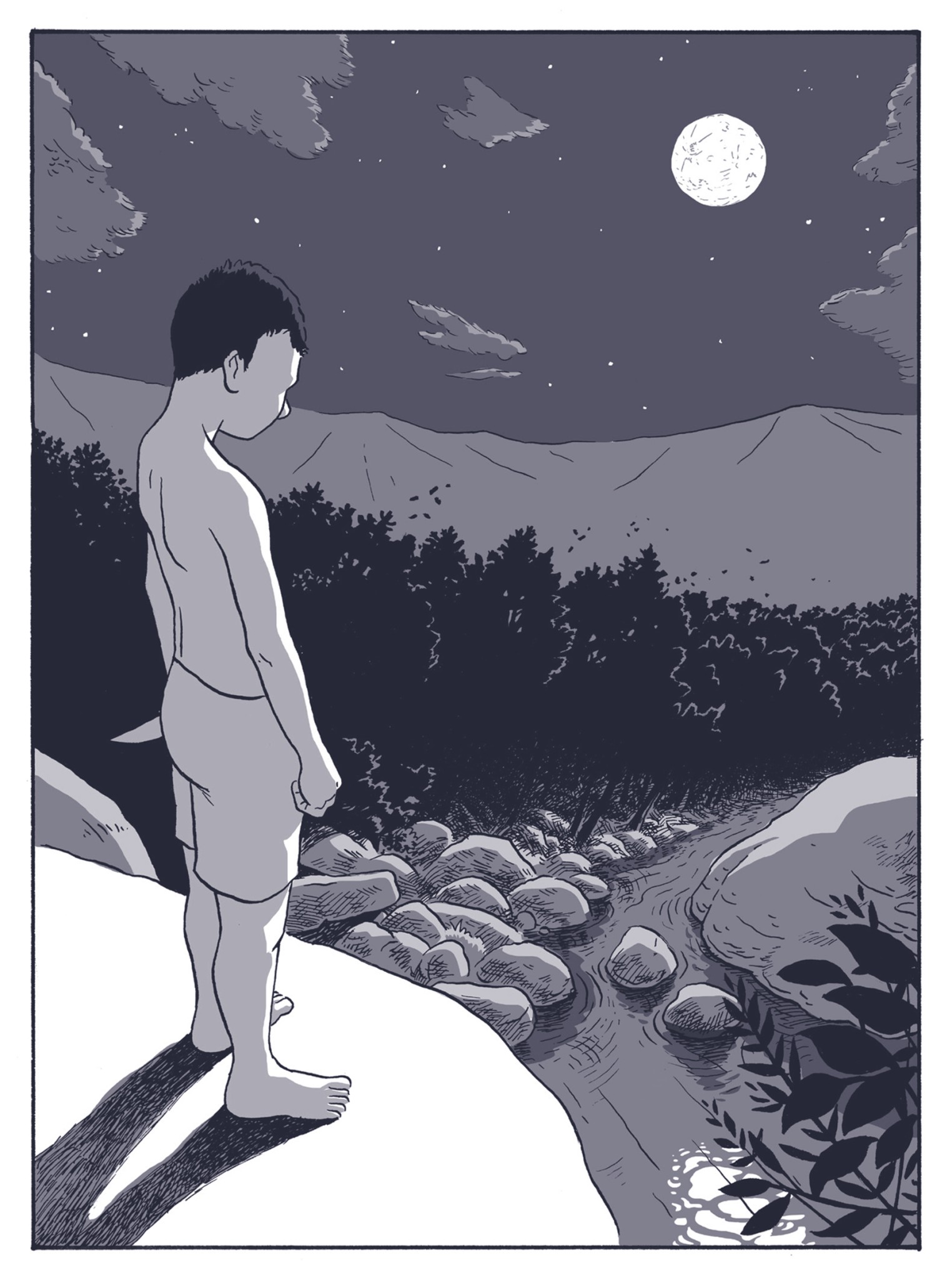 cover of Quando non mi vedi