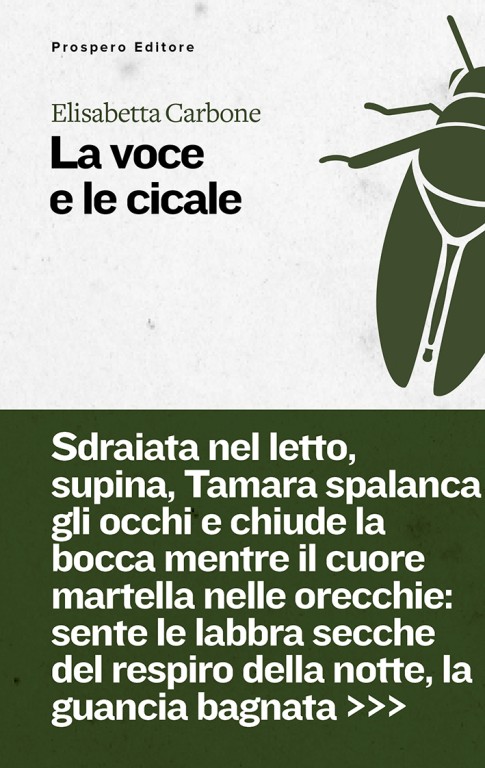 copertina di La voce e le cicale