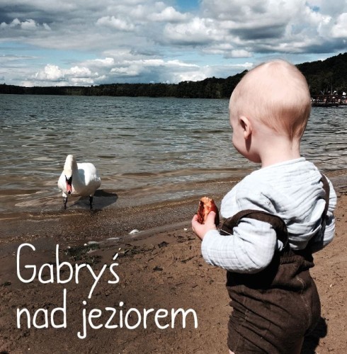 copertina di Gabryś nad jeziorem