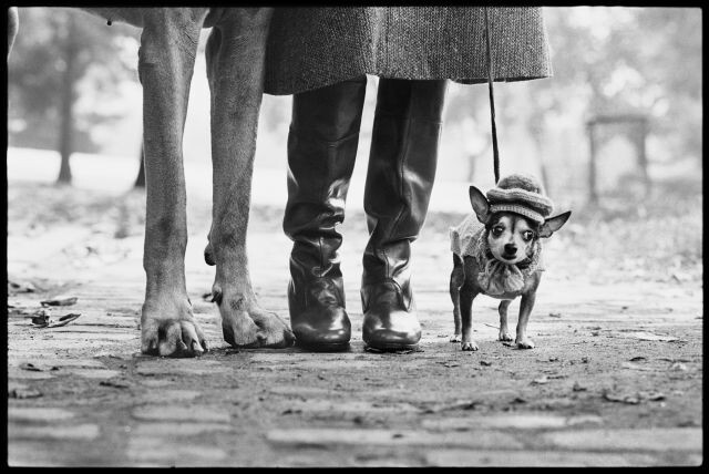 copertina di Elliott Erwitt. L’arte di osservare