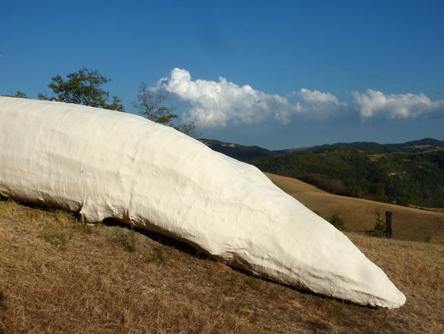 Monumento alla balena di val di Zena 