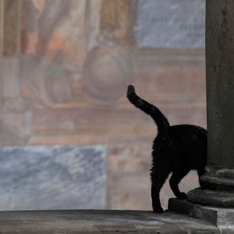 copertina di Bestiario cimiteriale | alla scoperta del sottobosco certosino