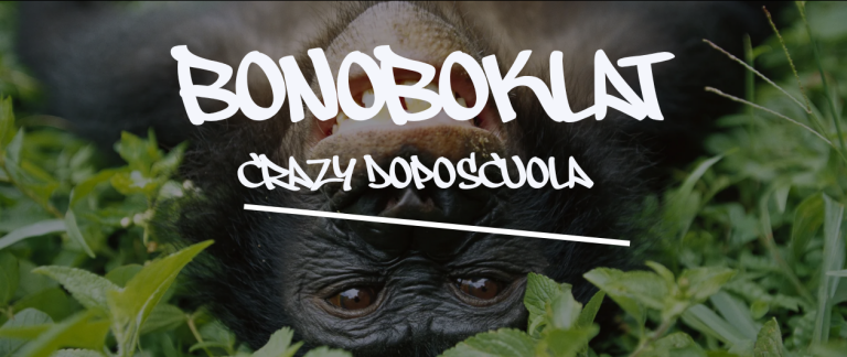 immagine di Bonoboklat