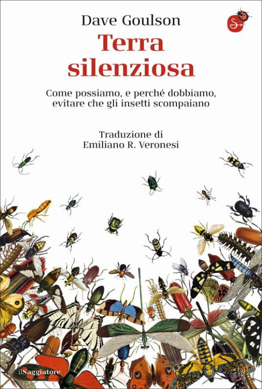 copertina di Terra silenziosa : come possiamo, e perché dobbiamo, evitare che gli insetti scompaiano 