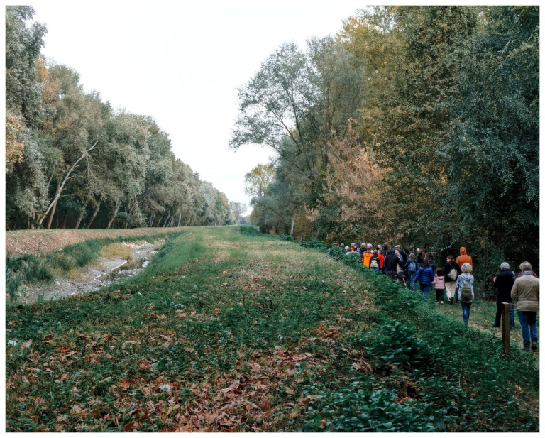 image of ALBERI FESTIVAL LAB | Invito a partecipare