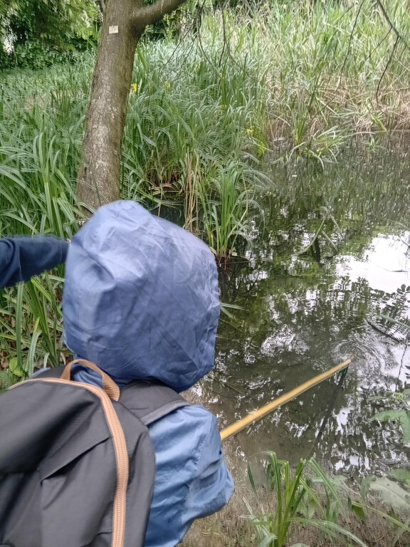 immagine di Lo stagno in inverno