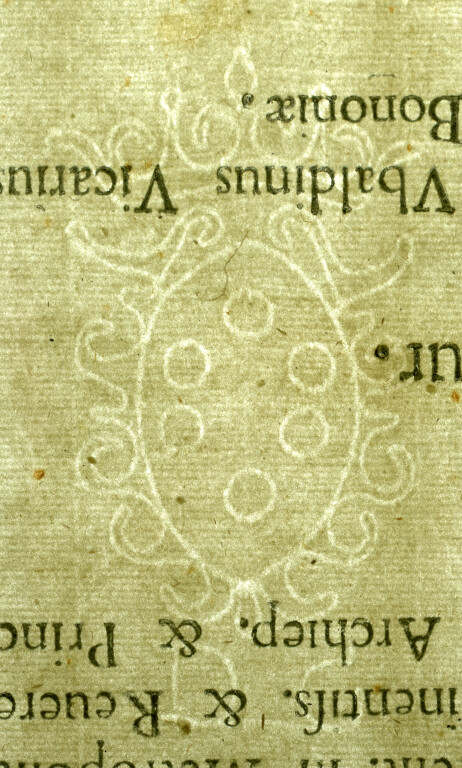 image of ID. 46 stemma Medici, DG